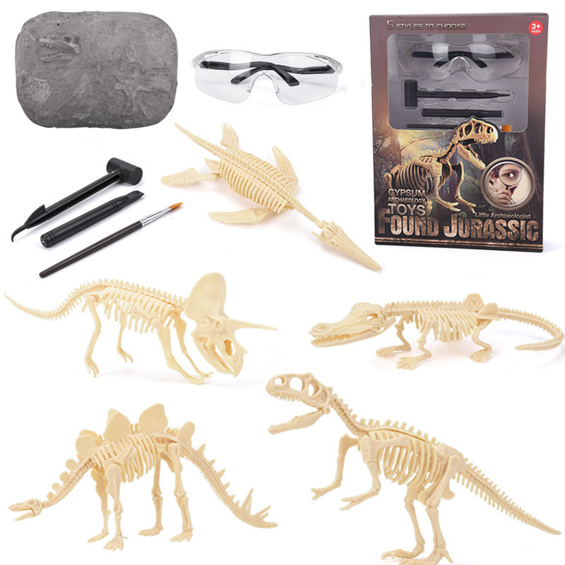 Science Kit - Dinosaurus Fossielen Opgraving Kit STEM: Ontdek